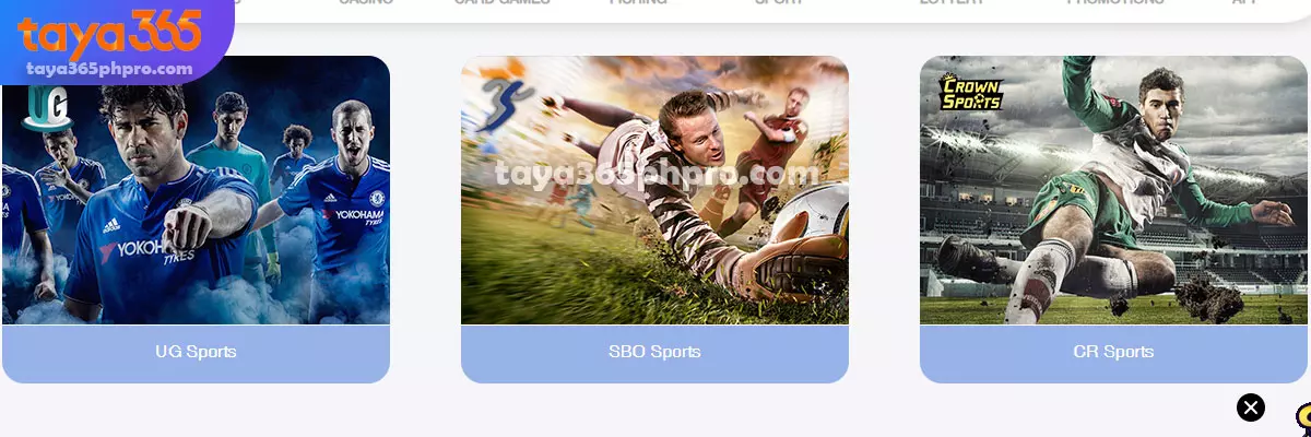 Unique Sports Betting Features at Taya365